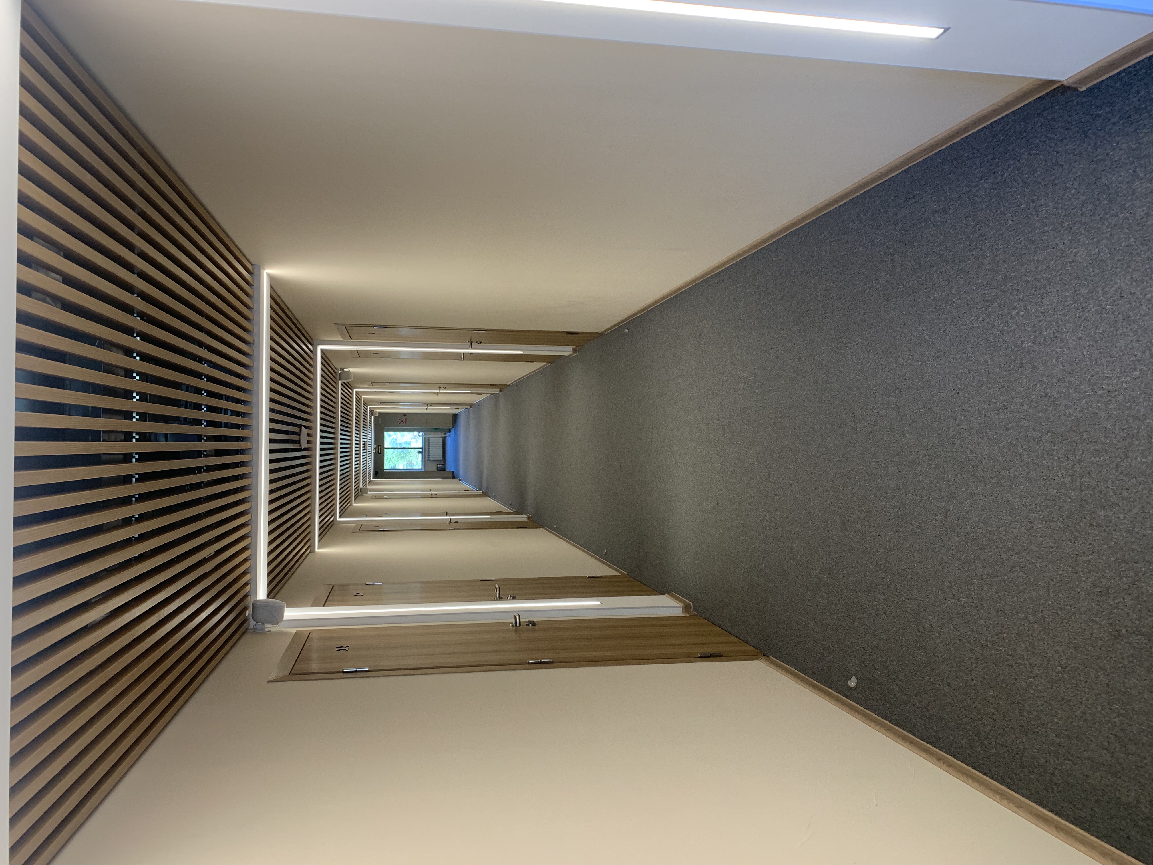 Фото Лакшми