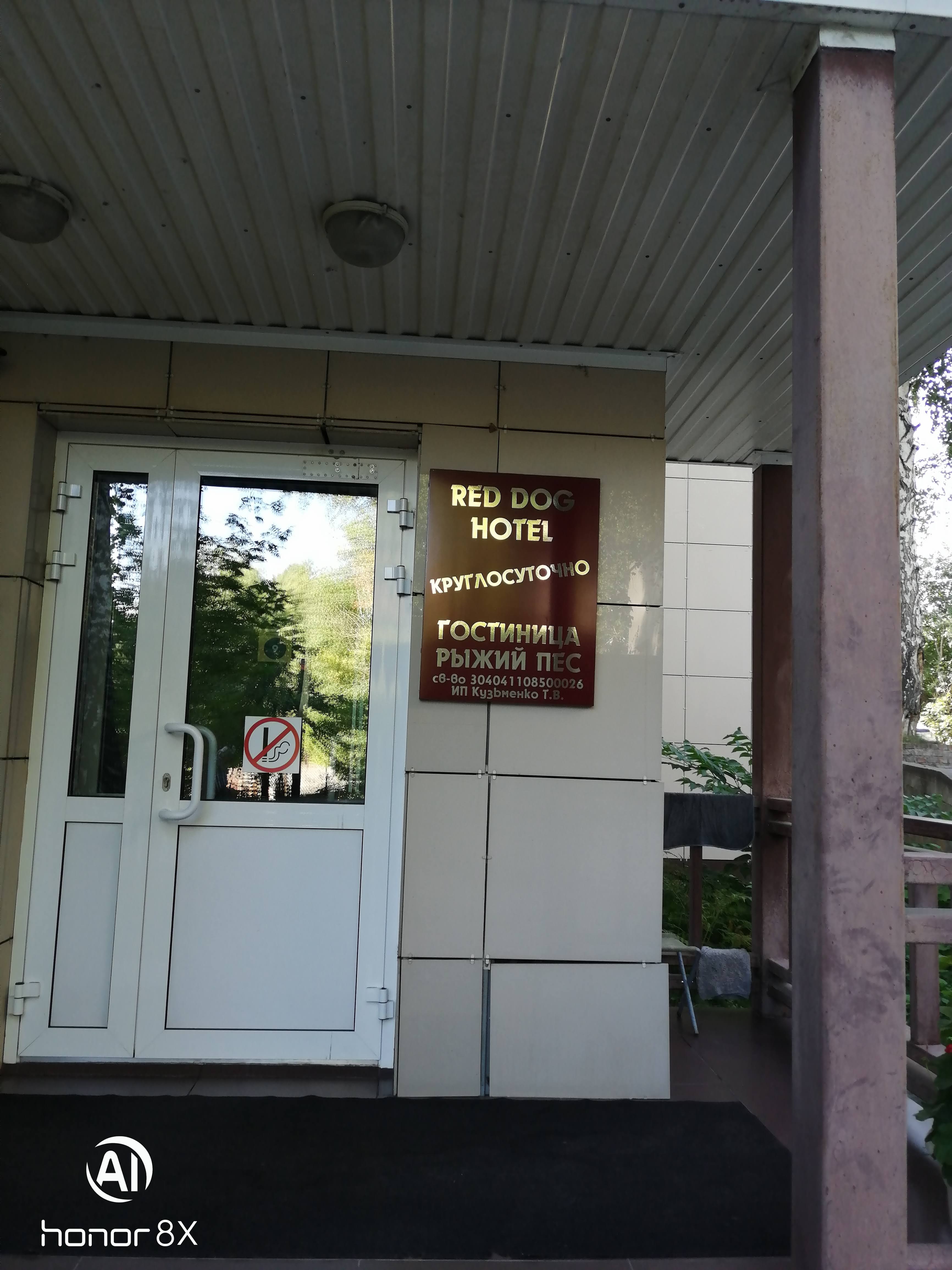 Фото Рыжий пёс