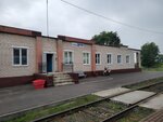 Druja Station (Viciebskaja voblasc, Braslawski rajon, ahraharadok Druja), train station