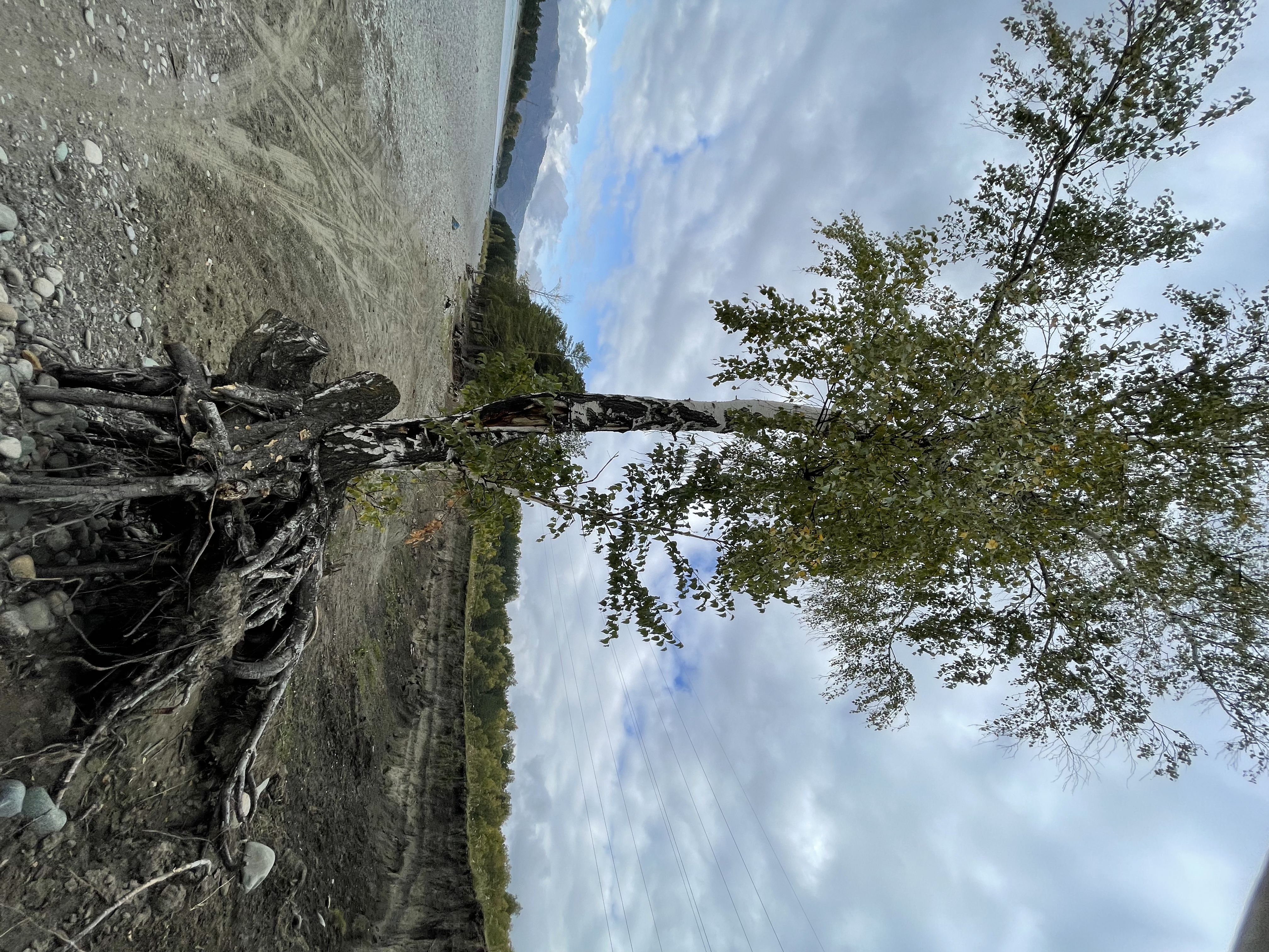 Фото Чемальский каньон