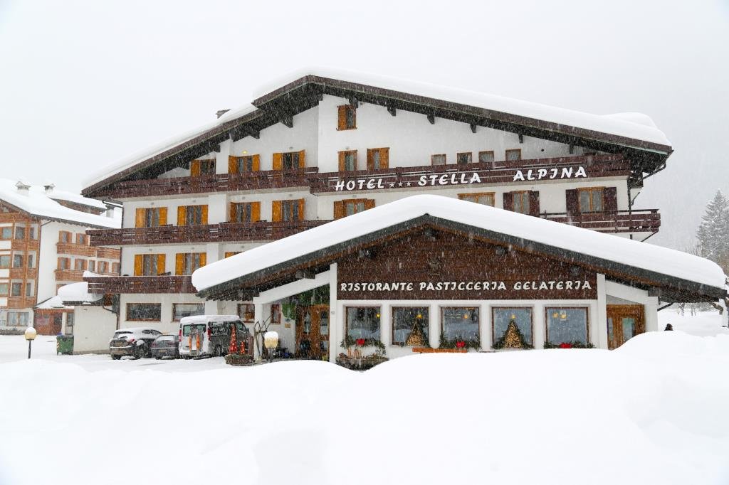 Фото Hotel Stella Alpina