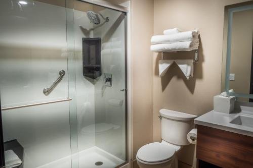 Фото Skyline Hotel & Casino