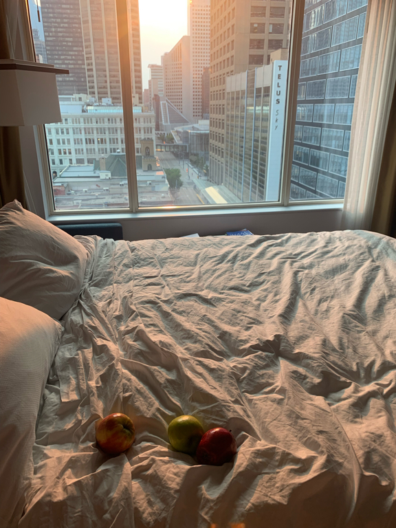 Фото Hyatt Regency Calgary