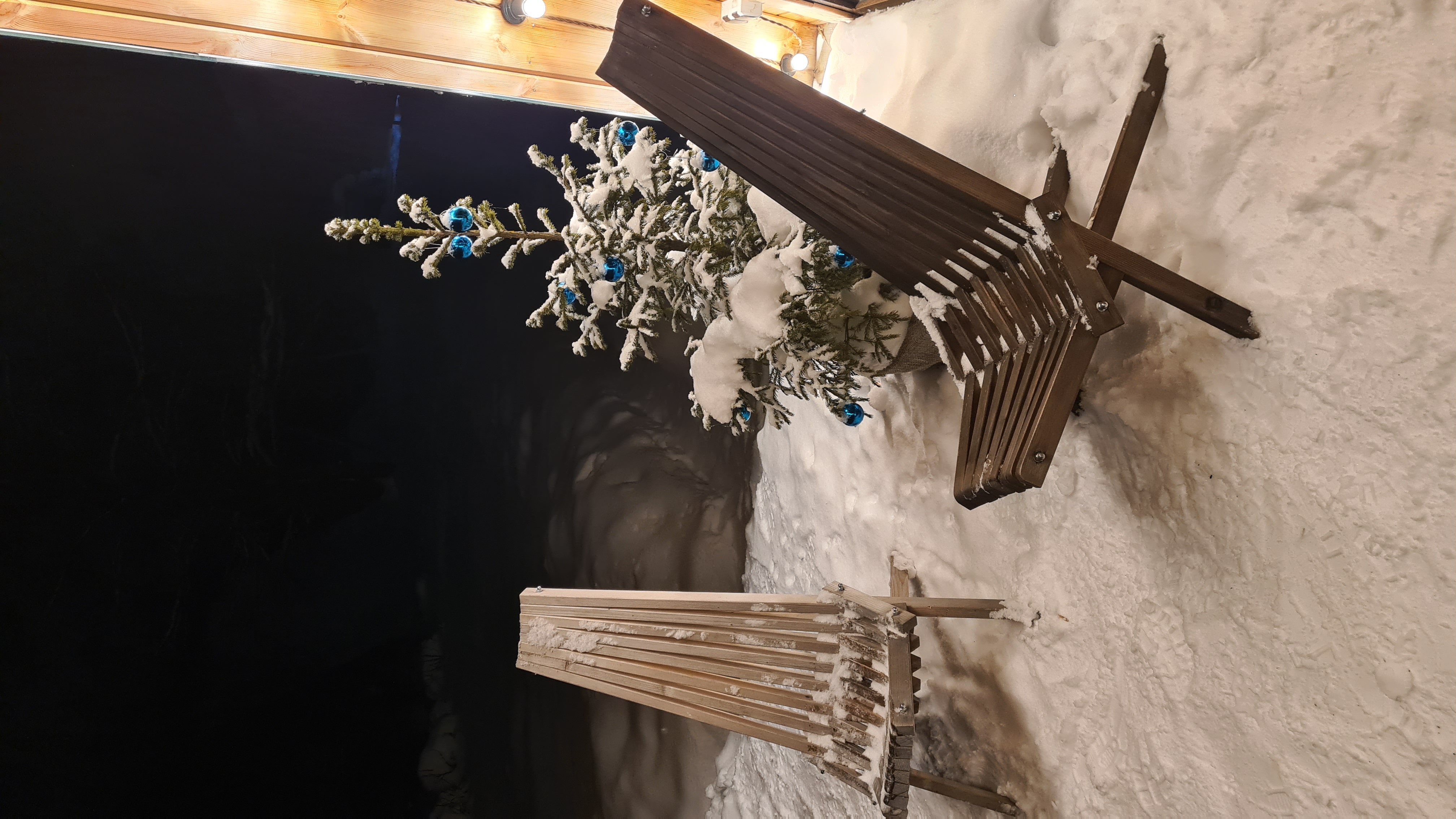 Фото Дом грёз Утиные пруды