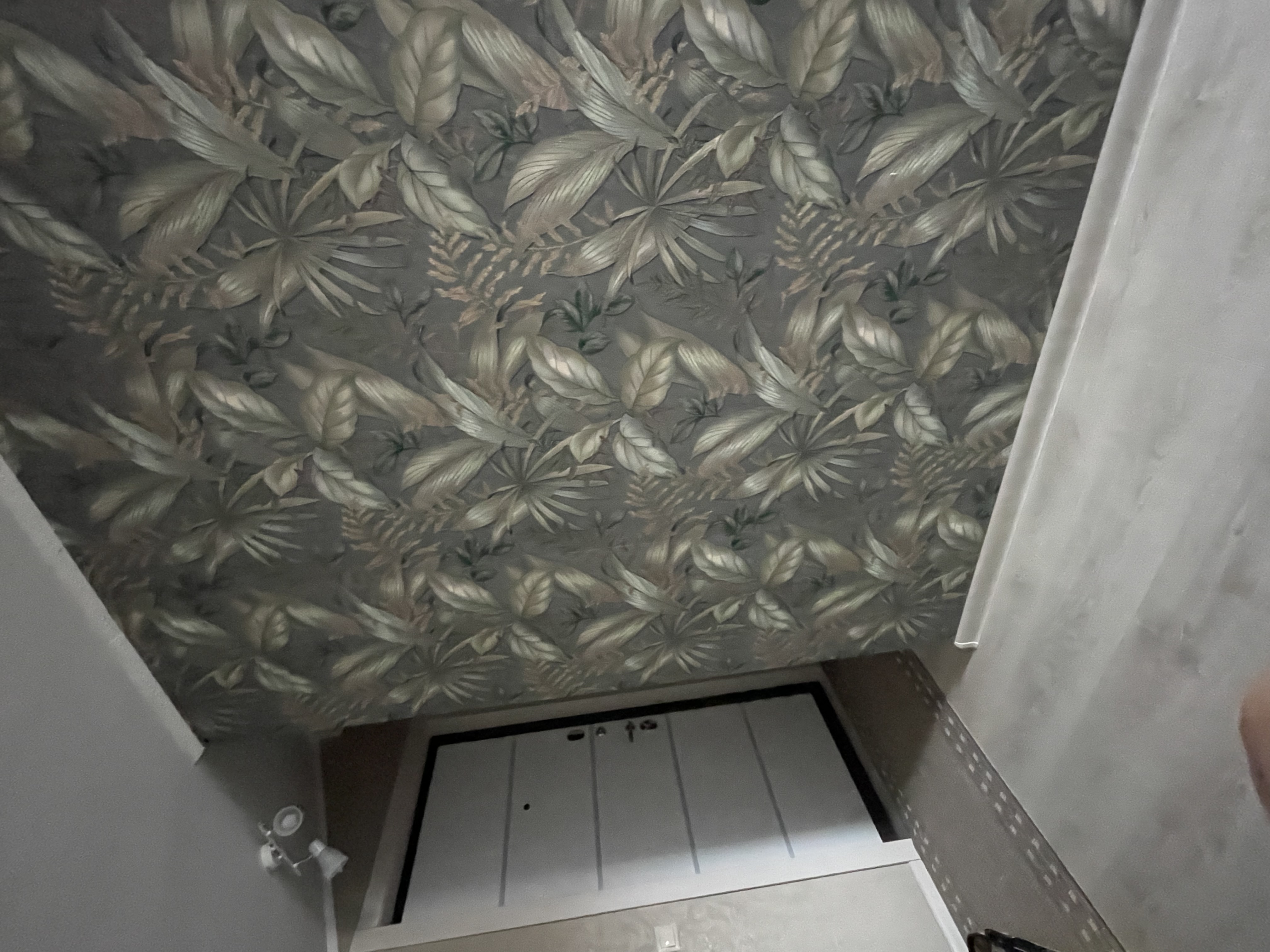 Фото Соседи