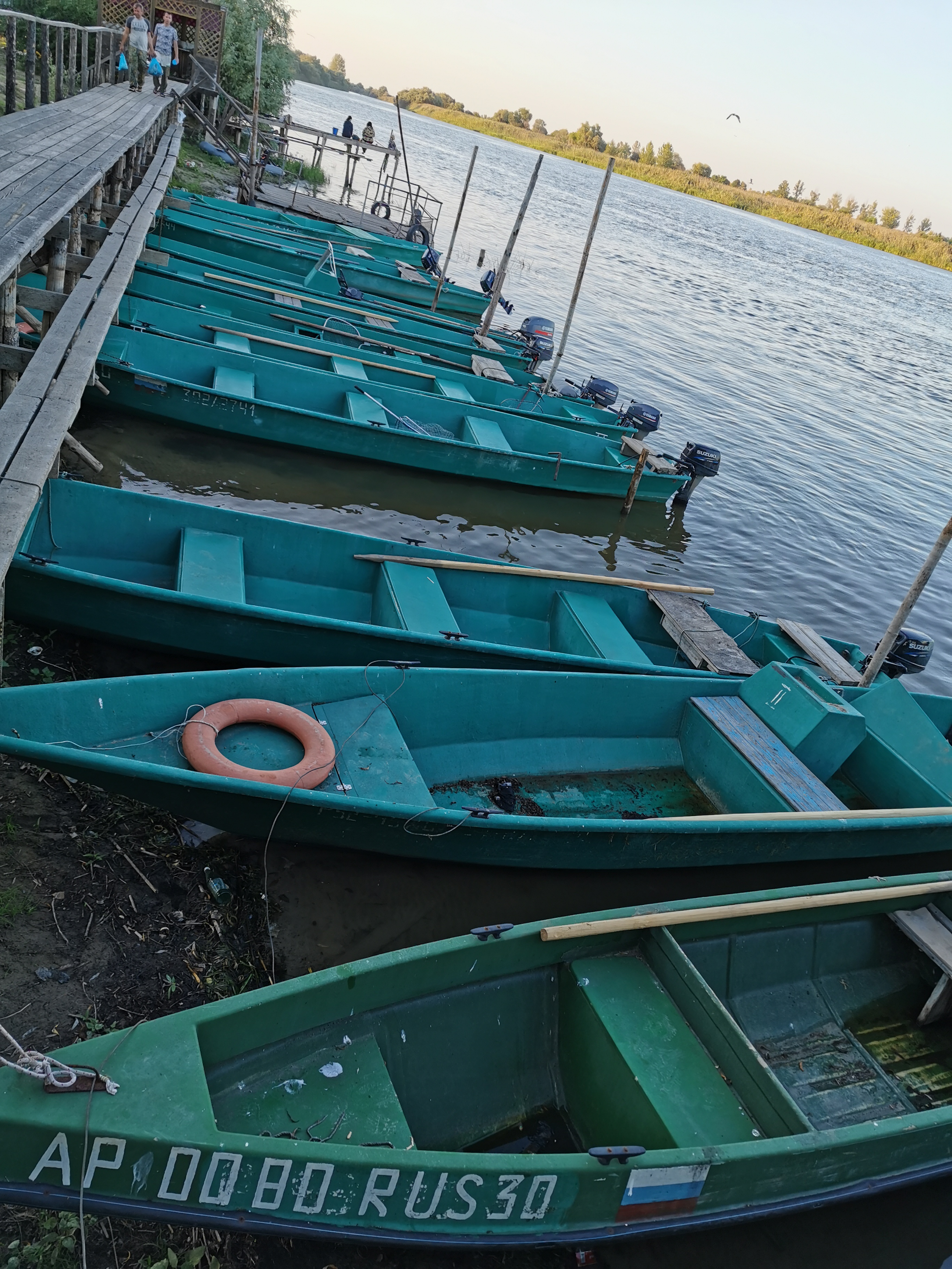 Фото Олигри Fish