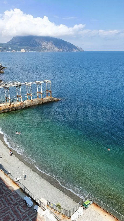 Фото Наутилус