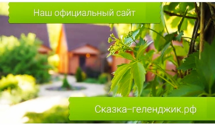 Фото Сказка