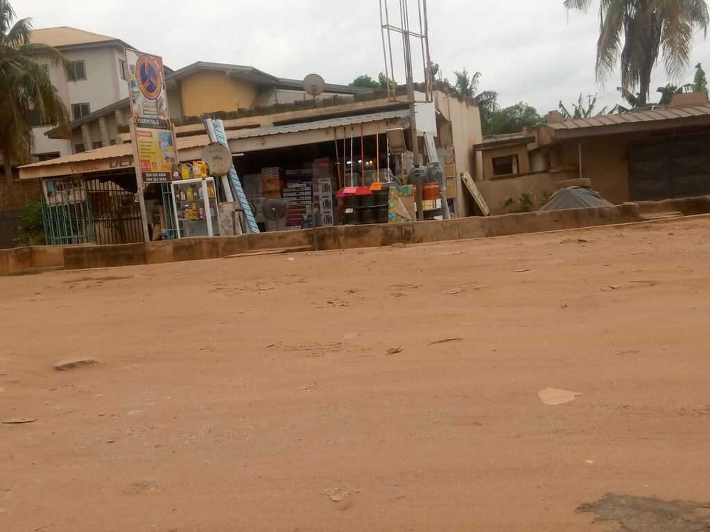 Electronic goods store Essential Ent, Earth, photo