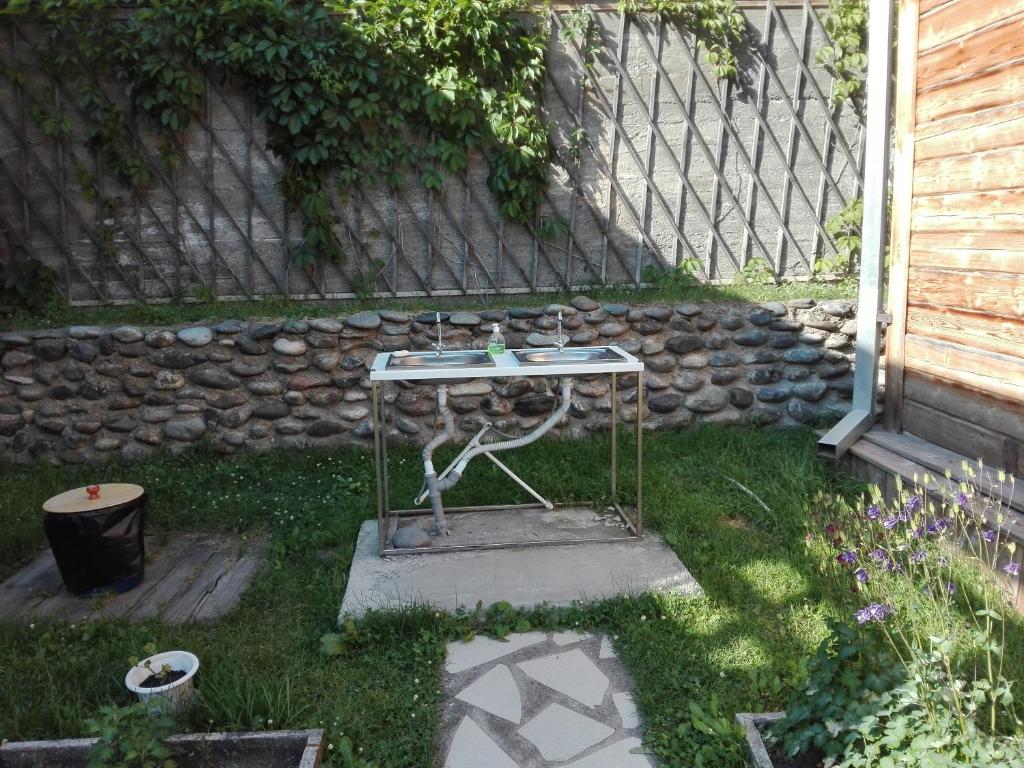 Фото Альбатрос