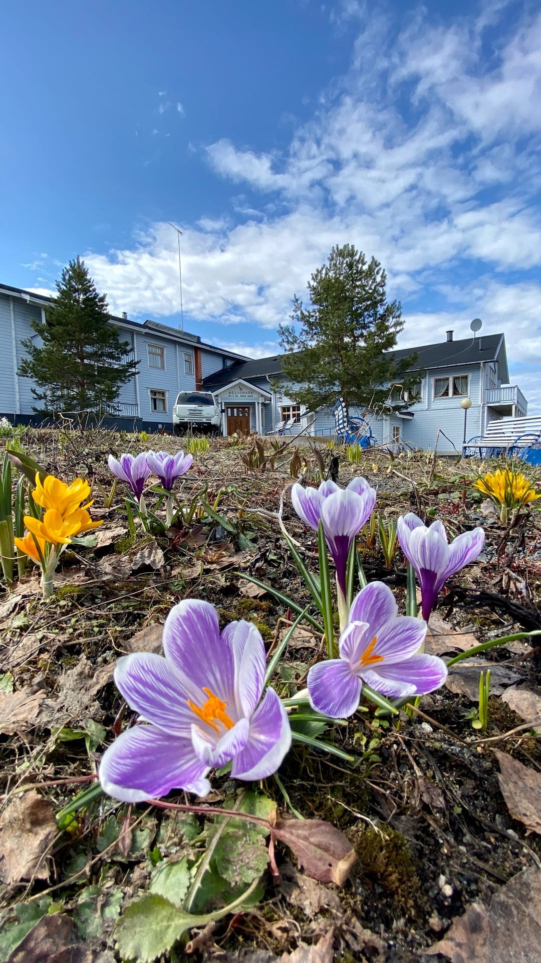 Фото Дворцы