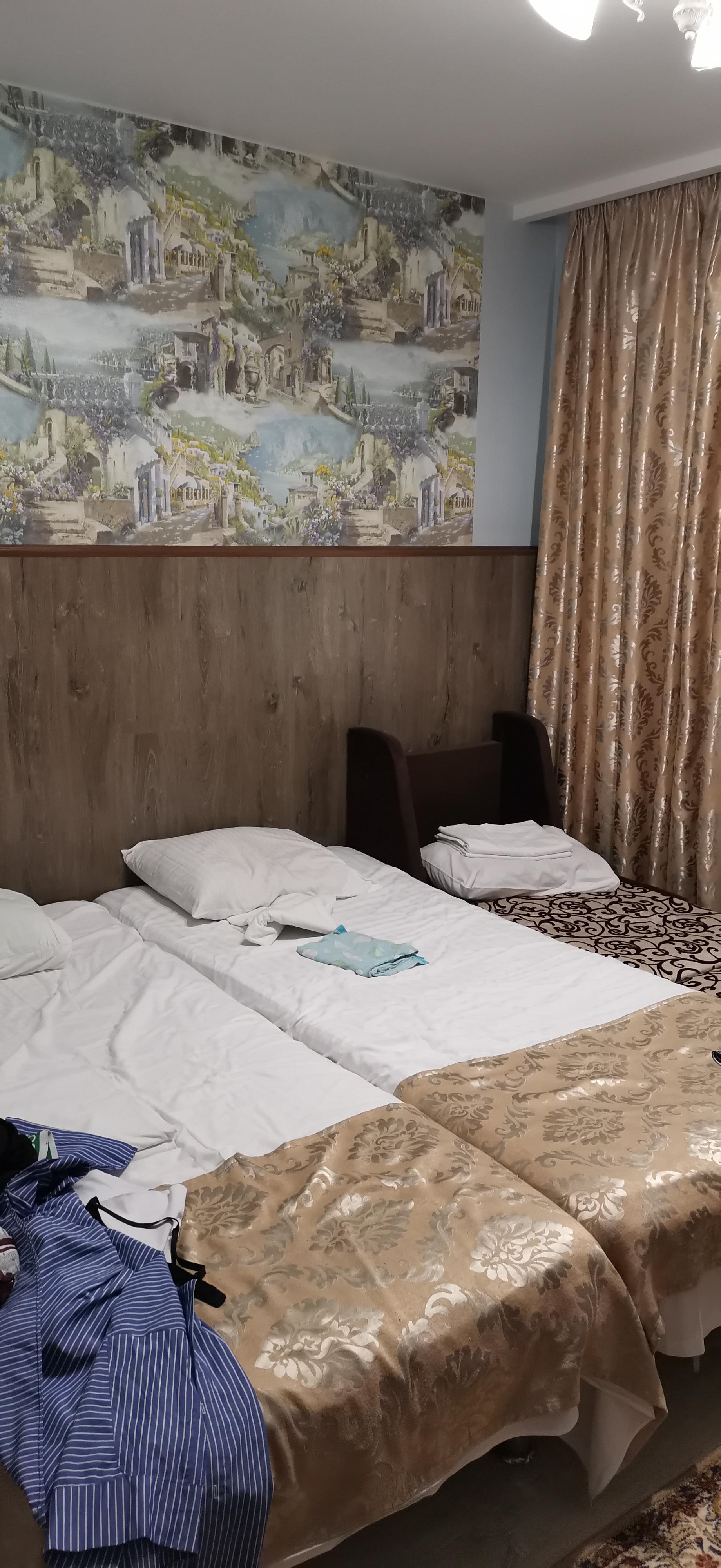 Фото Эдельвейс