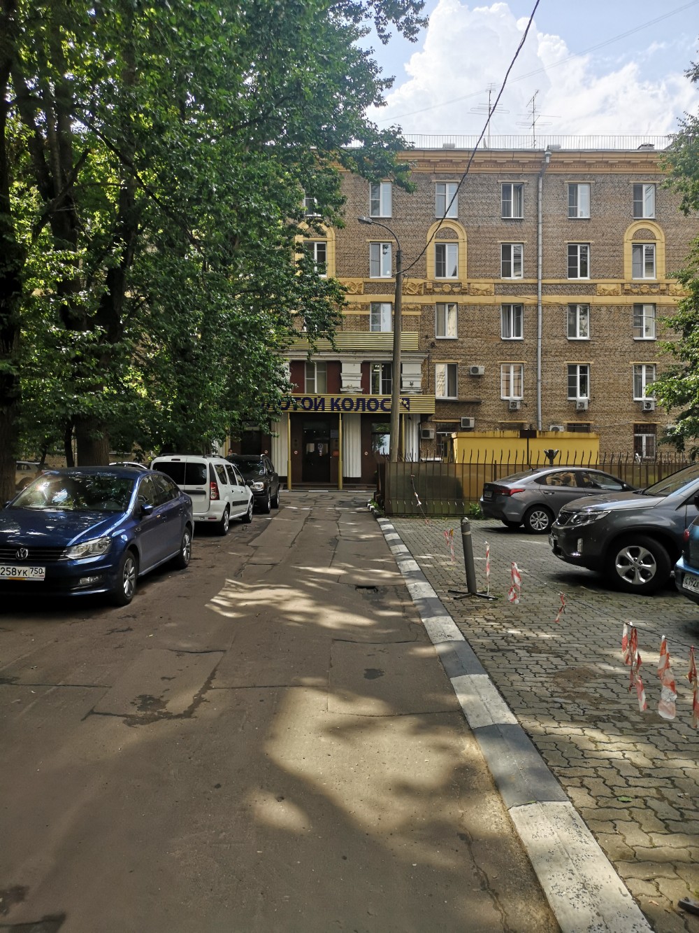 Фото Золотой Колос