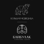 Большая Медведица