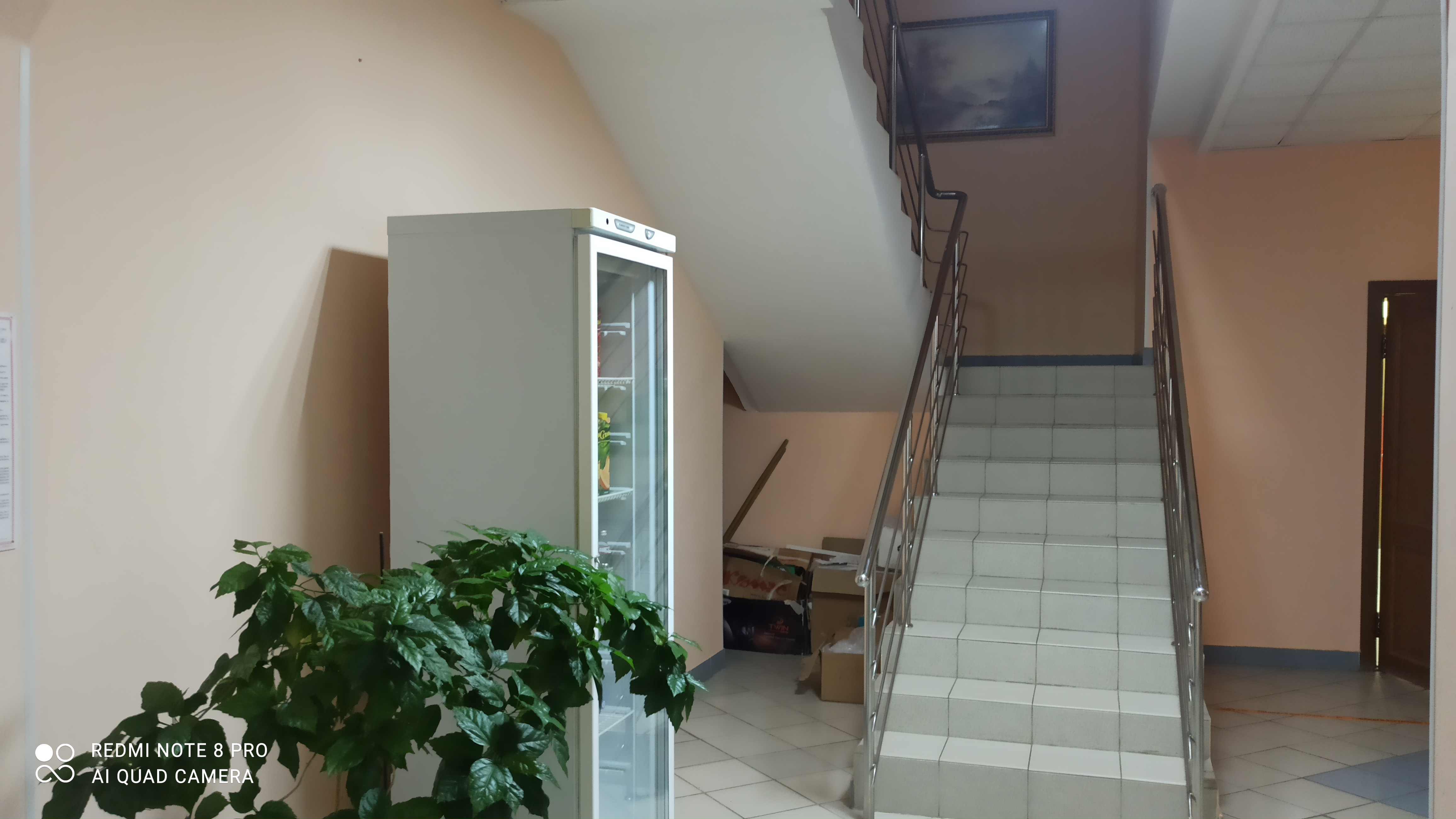 Фото Родина