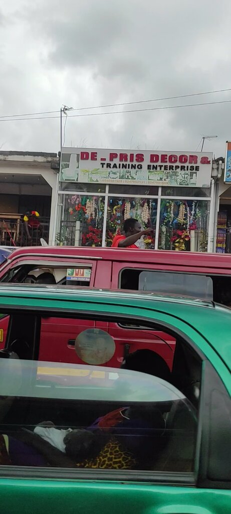 Training De_ Pris Decor and Training Enterprise, Earth, photo