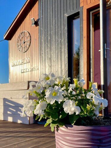 Дом отдыха Лаванда в Самсонове