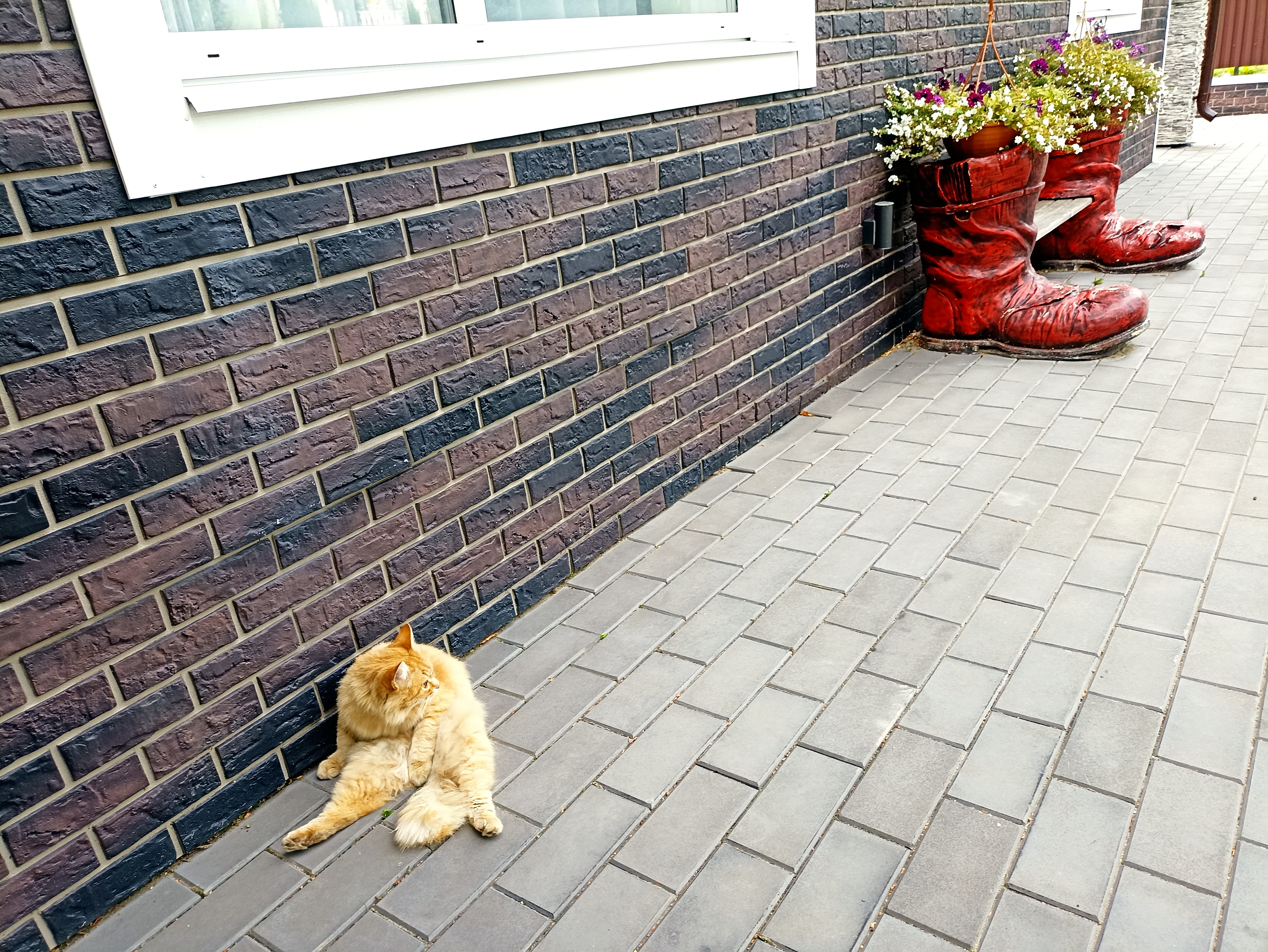 Фото Николин парк