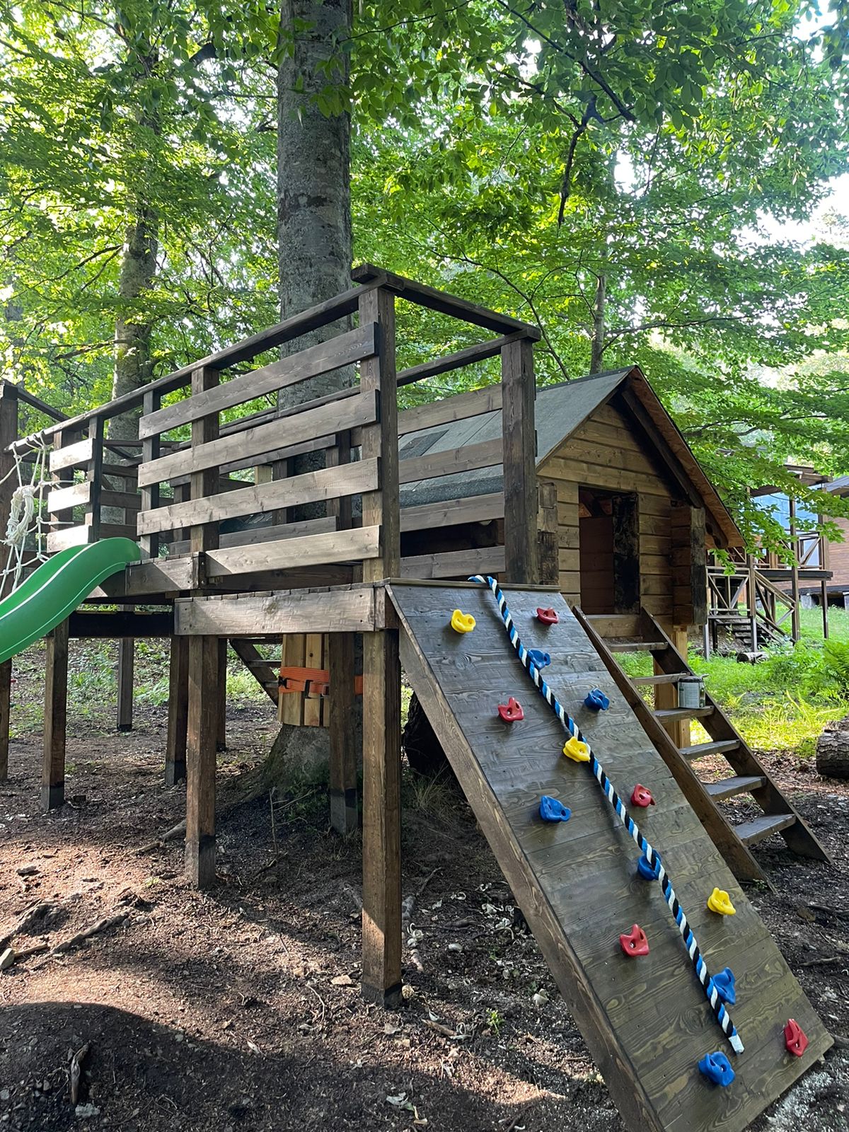 Фото Виктория