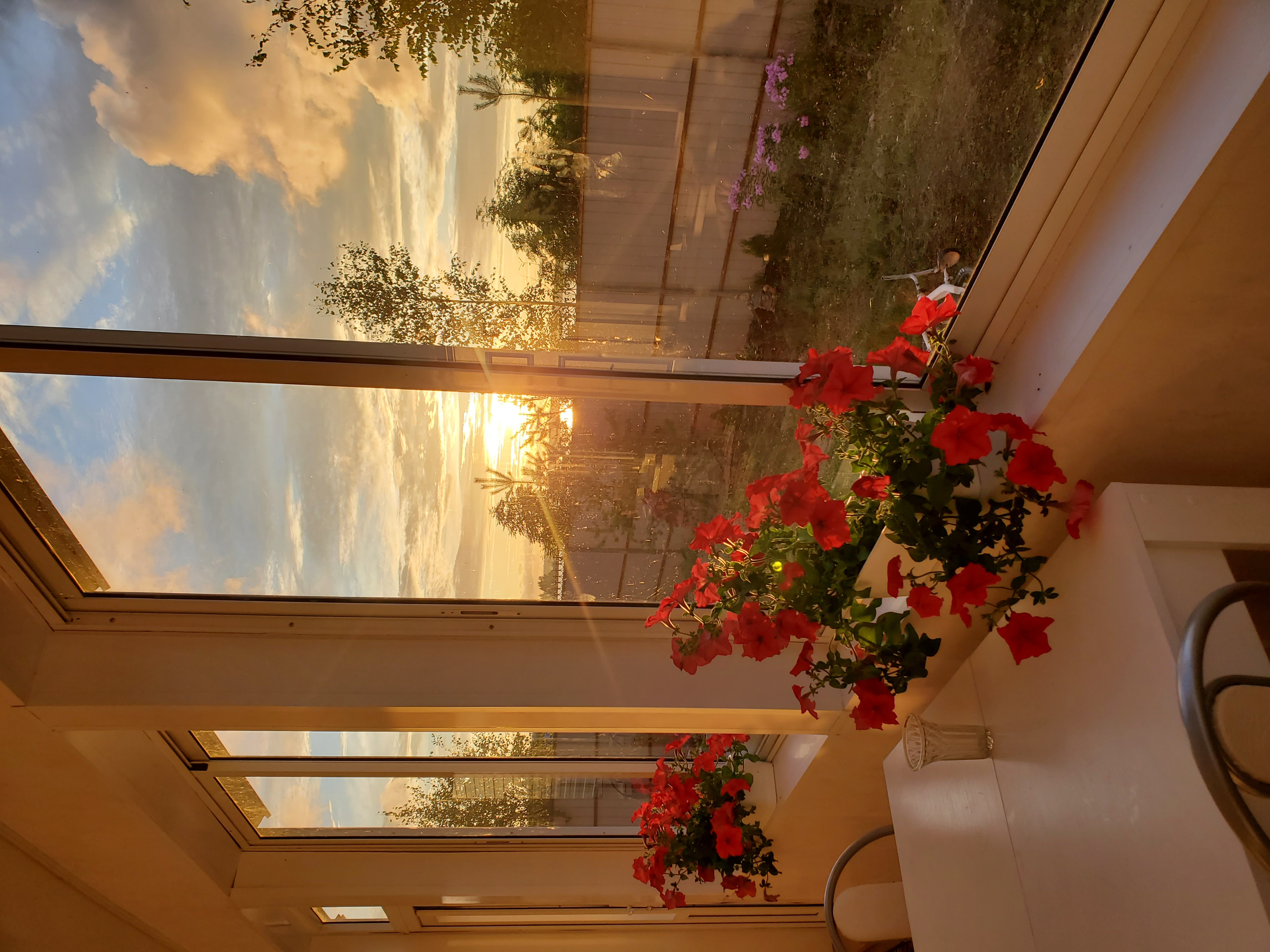 Фото Kodi järvi