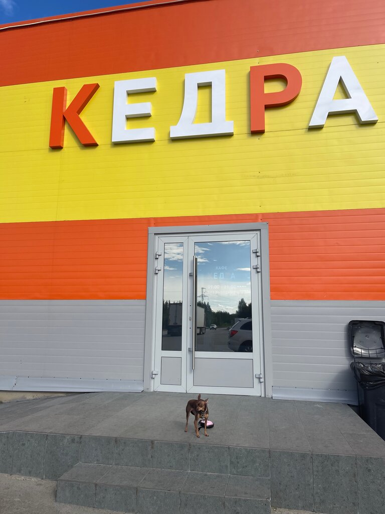 Кафе Кедра, Мурманская область, фото