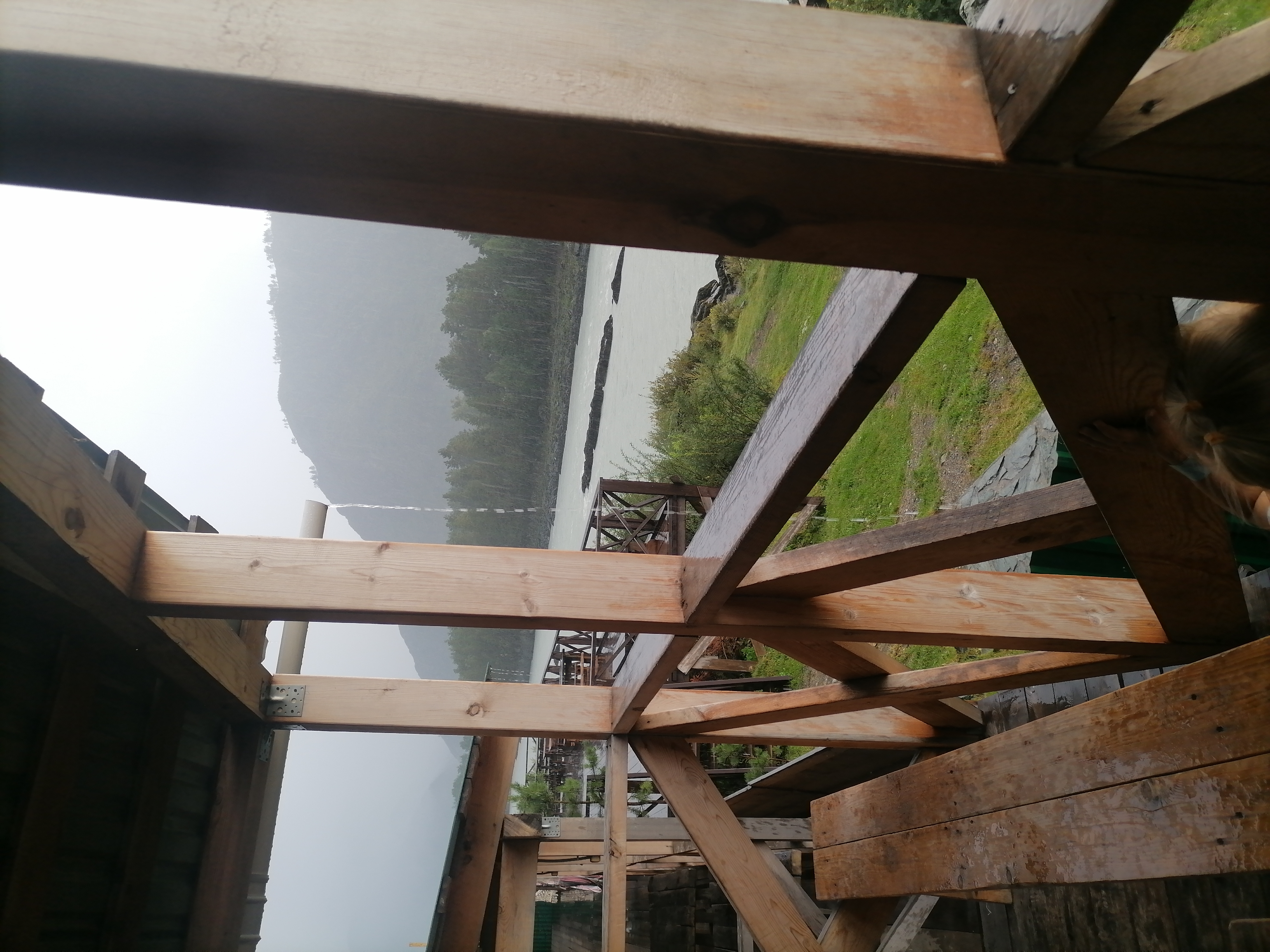 Фото Викинг на Катуни