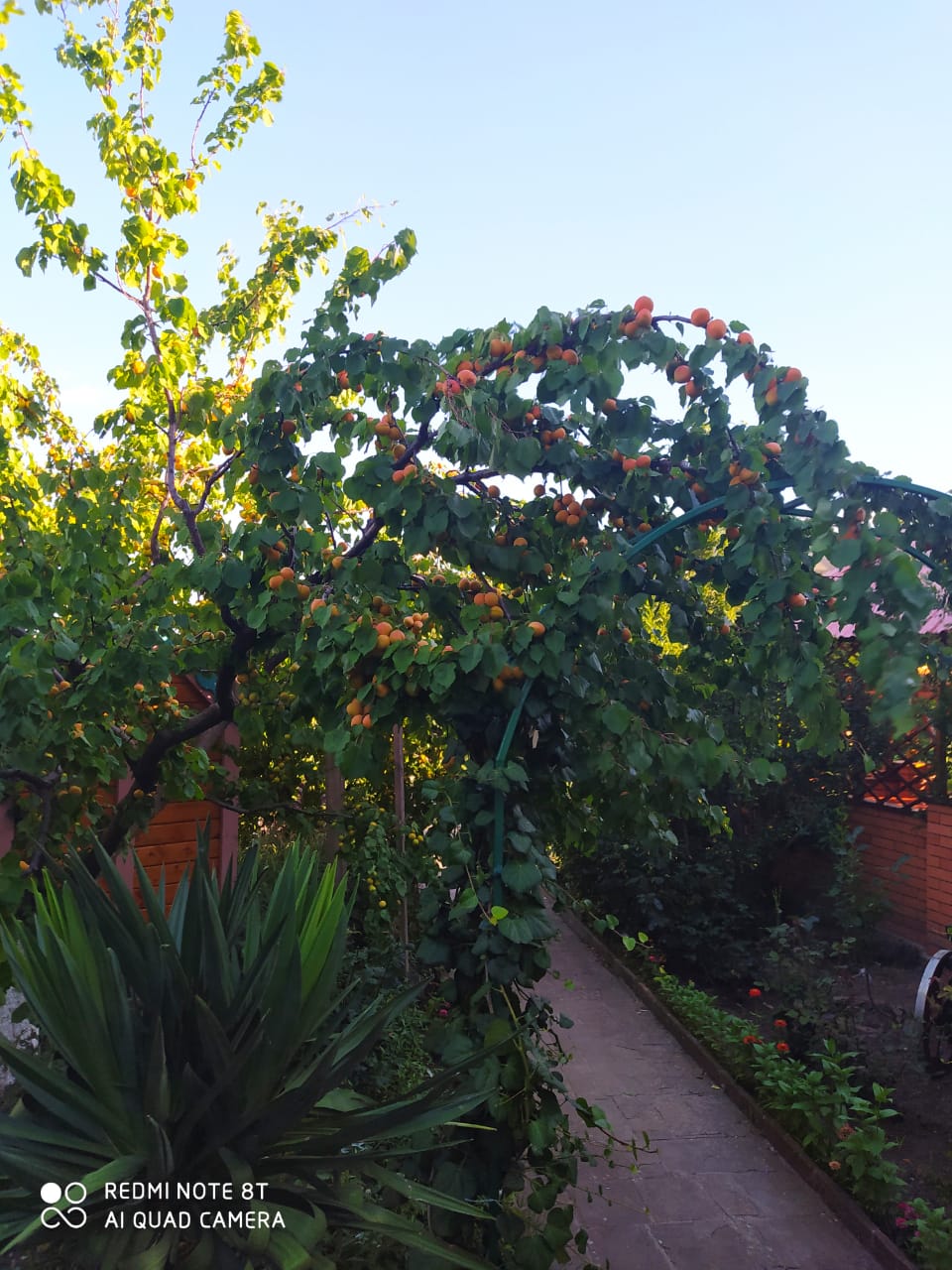 Фото Солнечная Долина