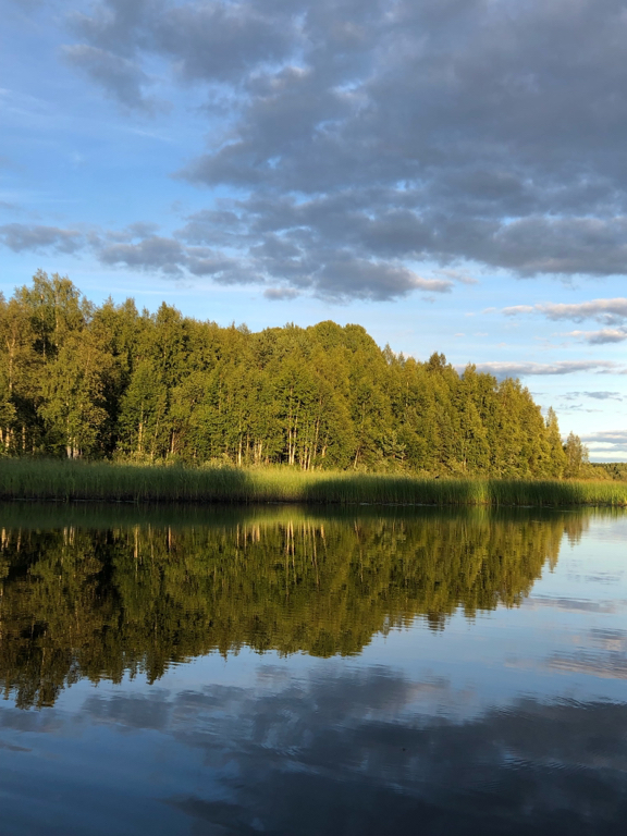 Фото Кот и Лось