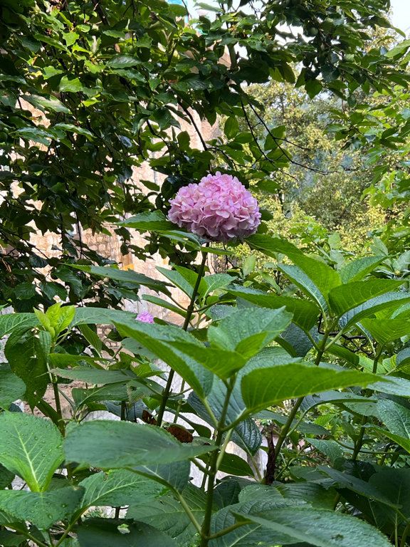 Фото Вилла Орлиное гнездо