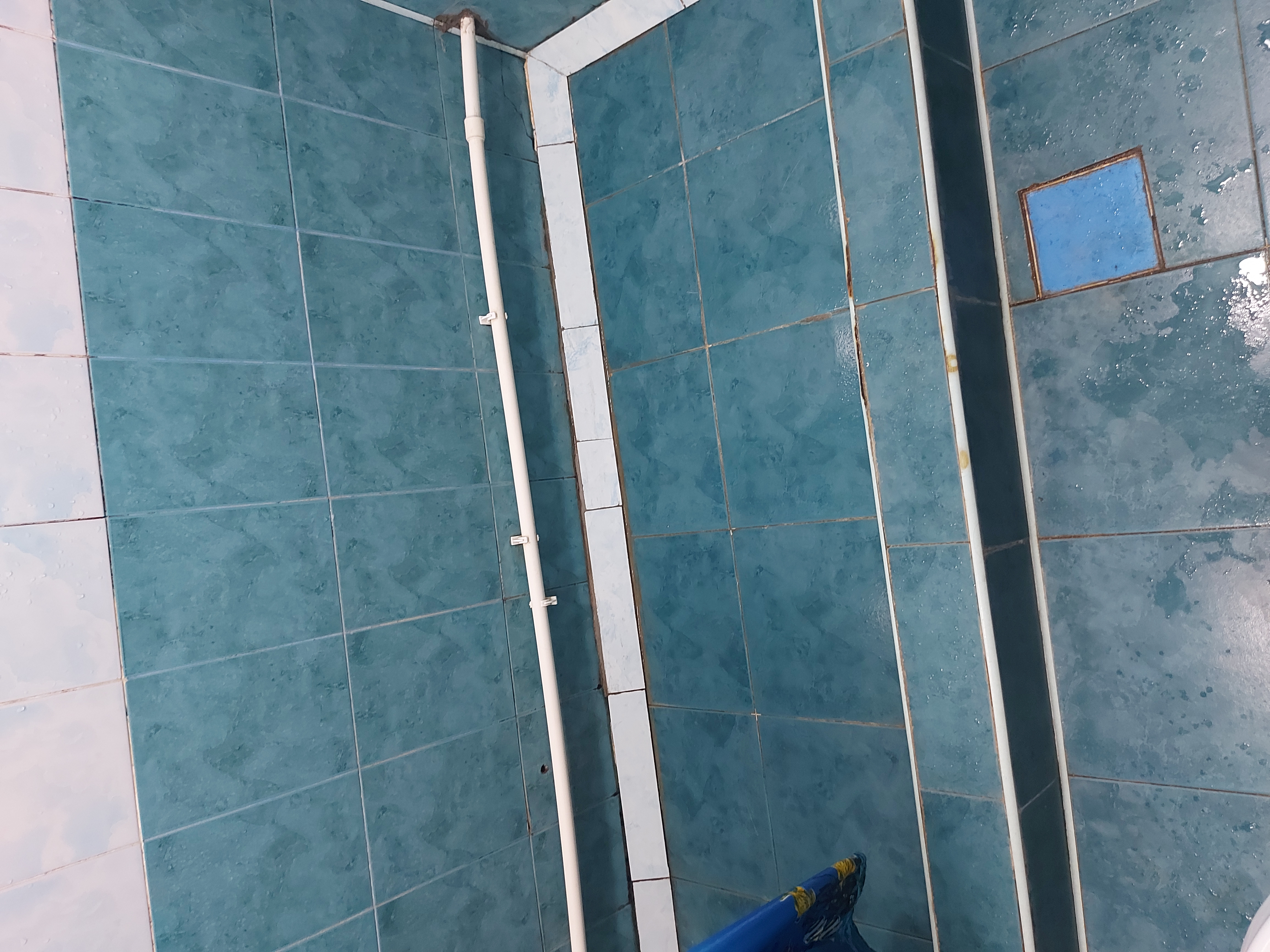 Фото Фрегат