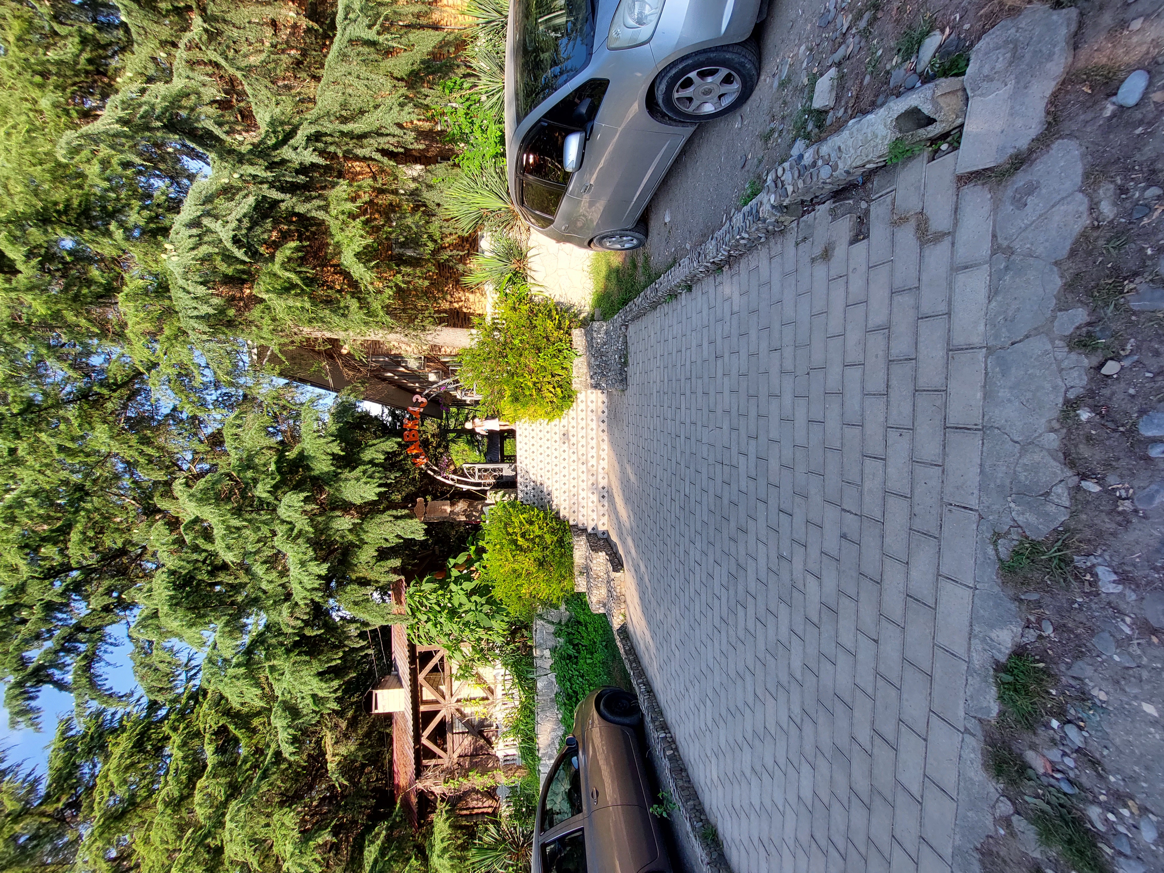 Фото Гости Кавказа