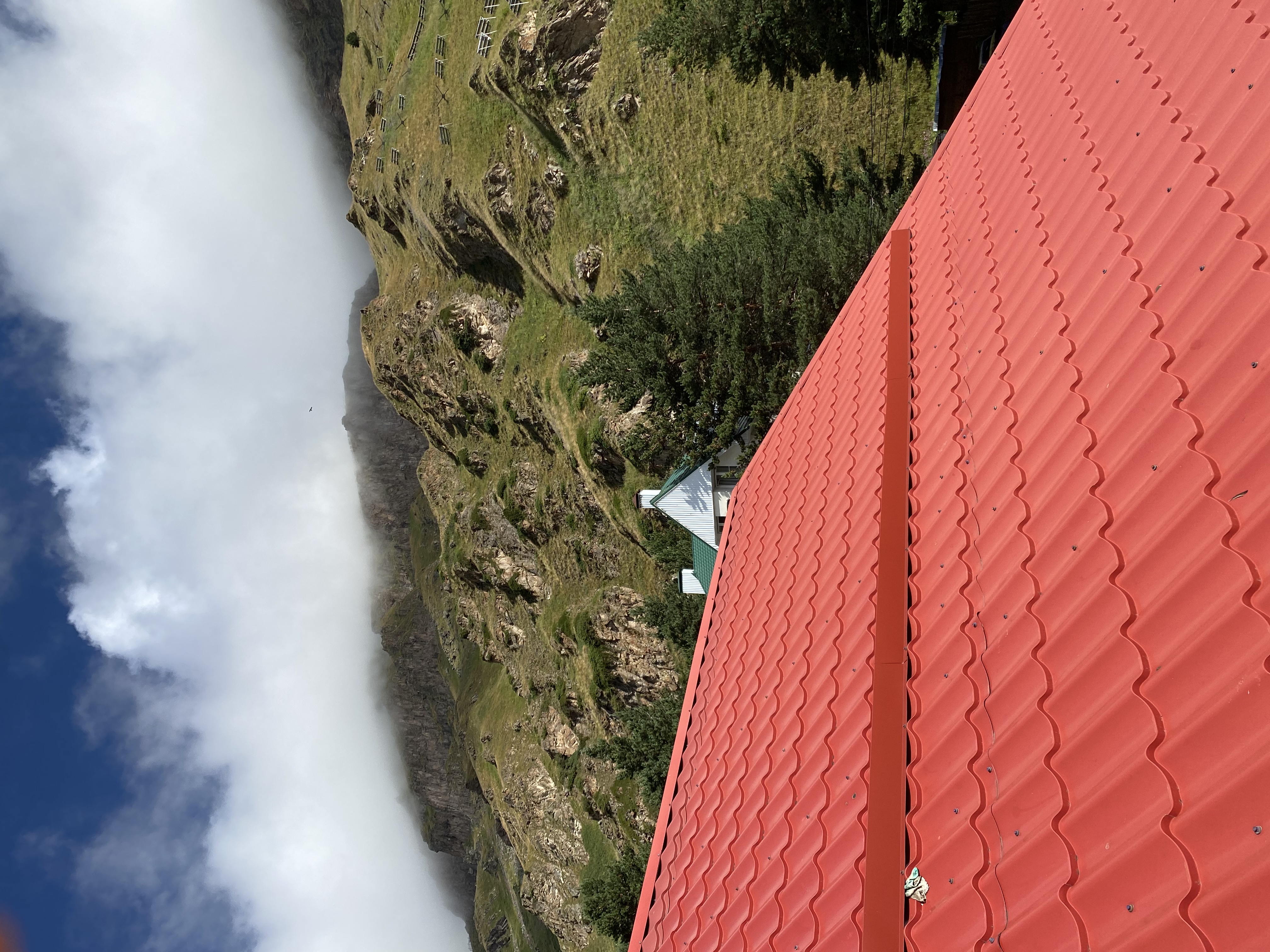 Фото Альпина