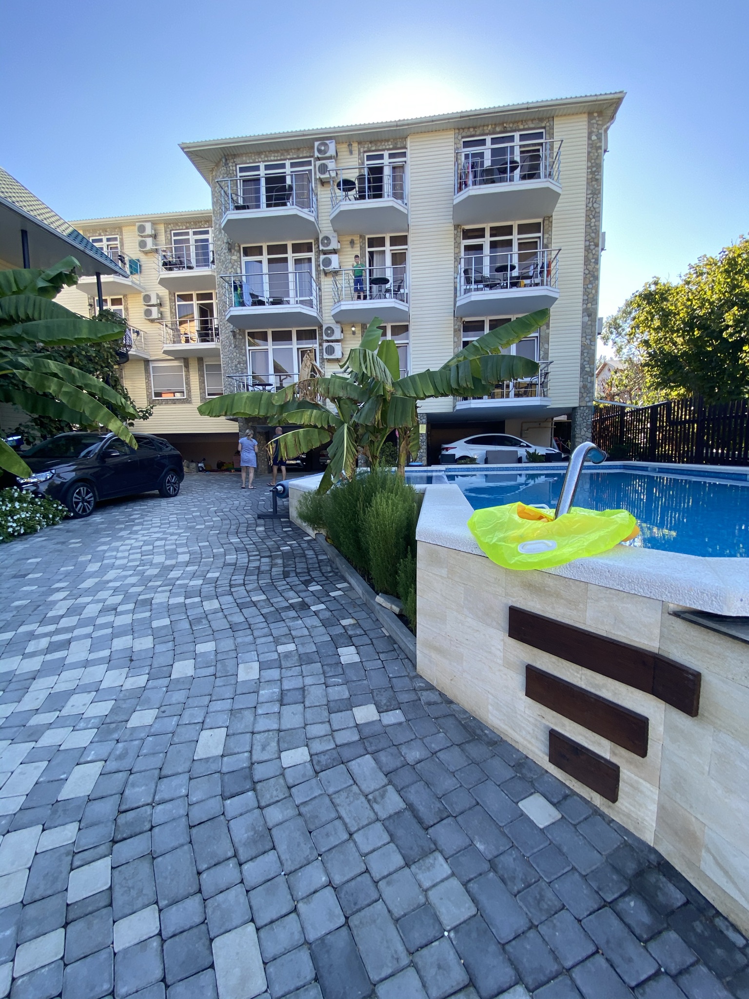 Фото Березы