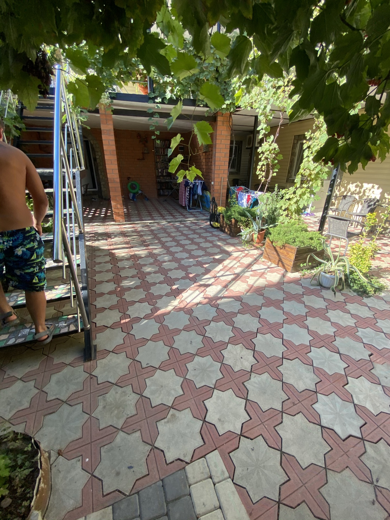 Фото Березы