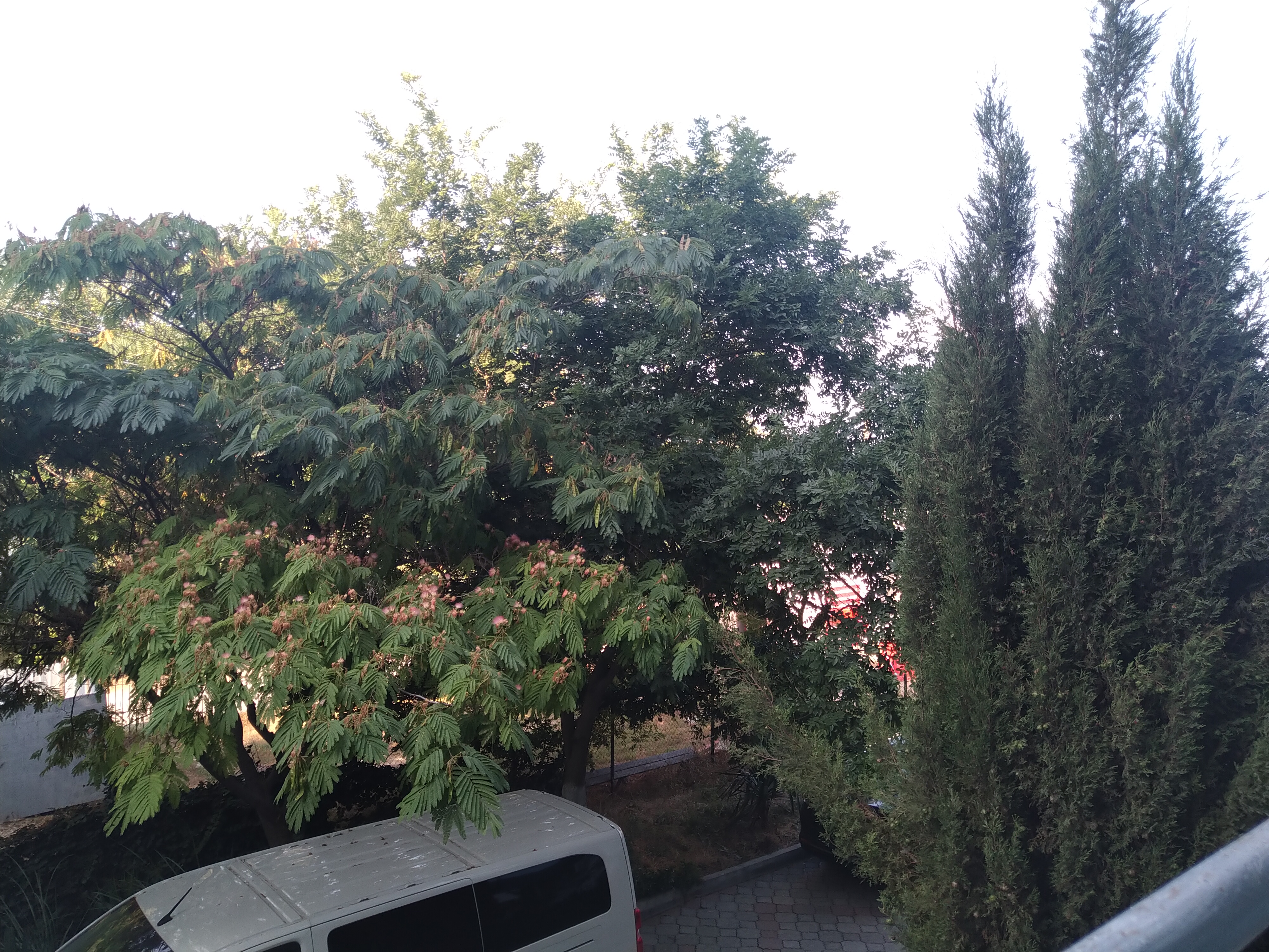 Фото Динамикс