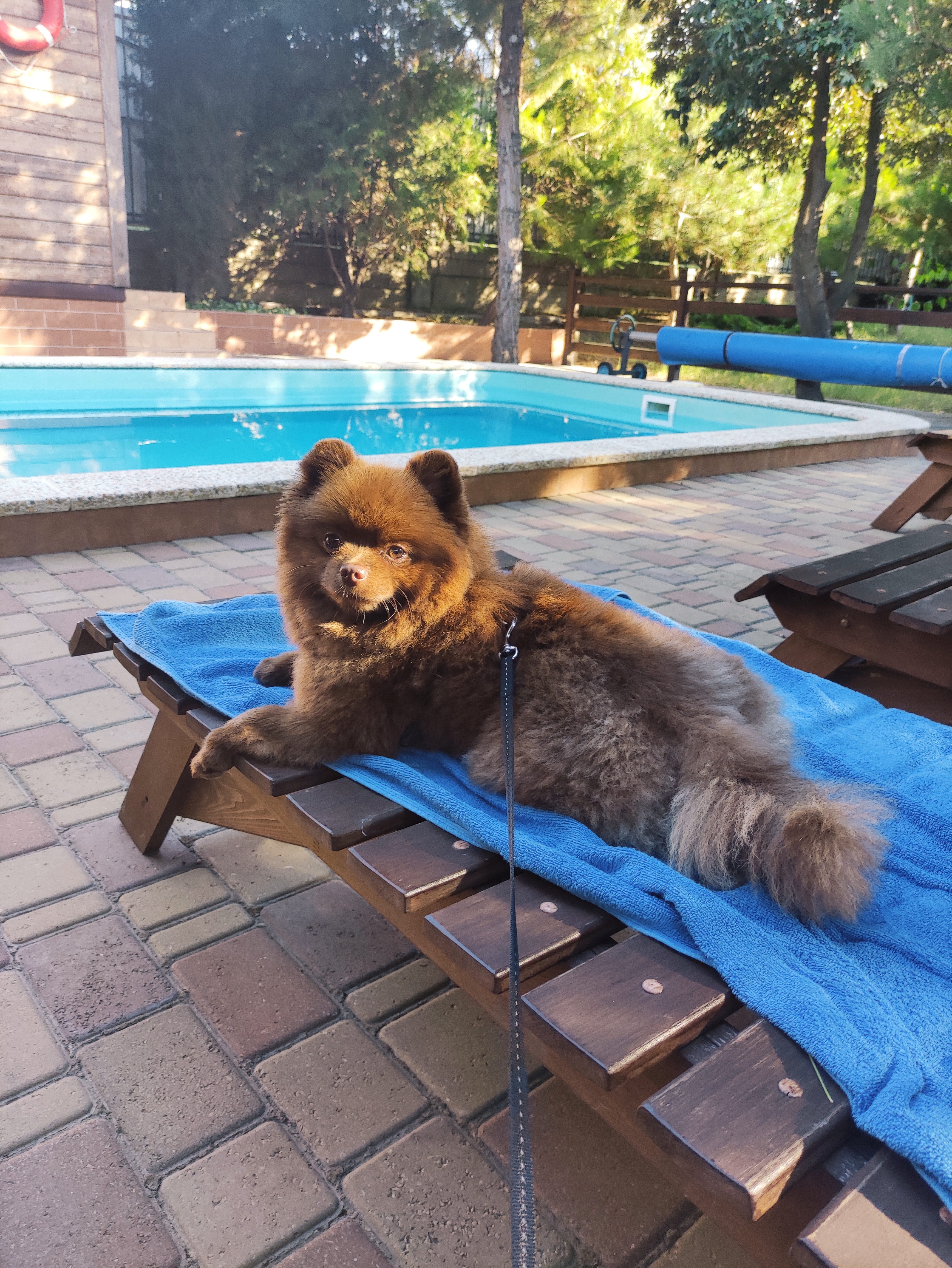 Фото Вилла Opc