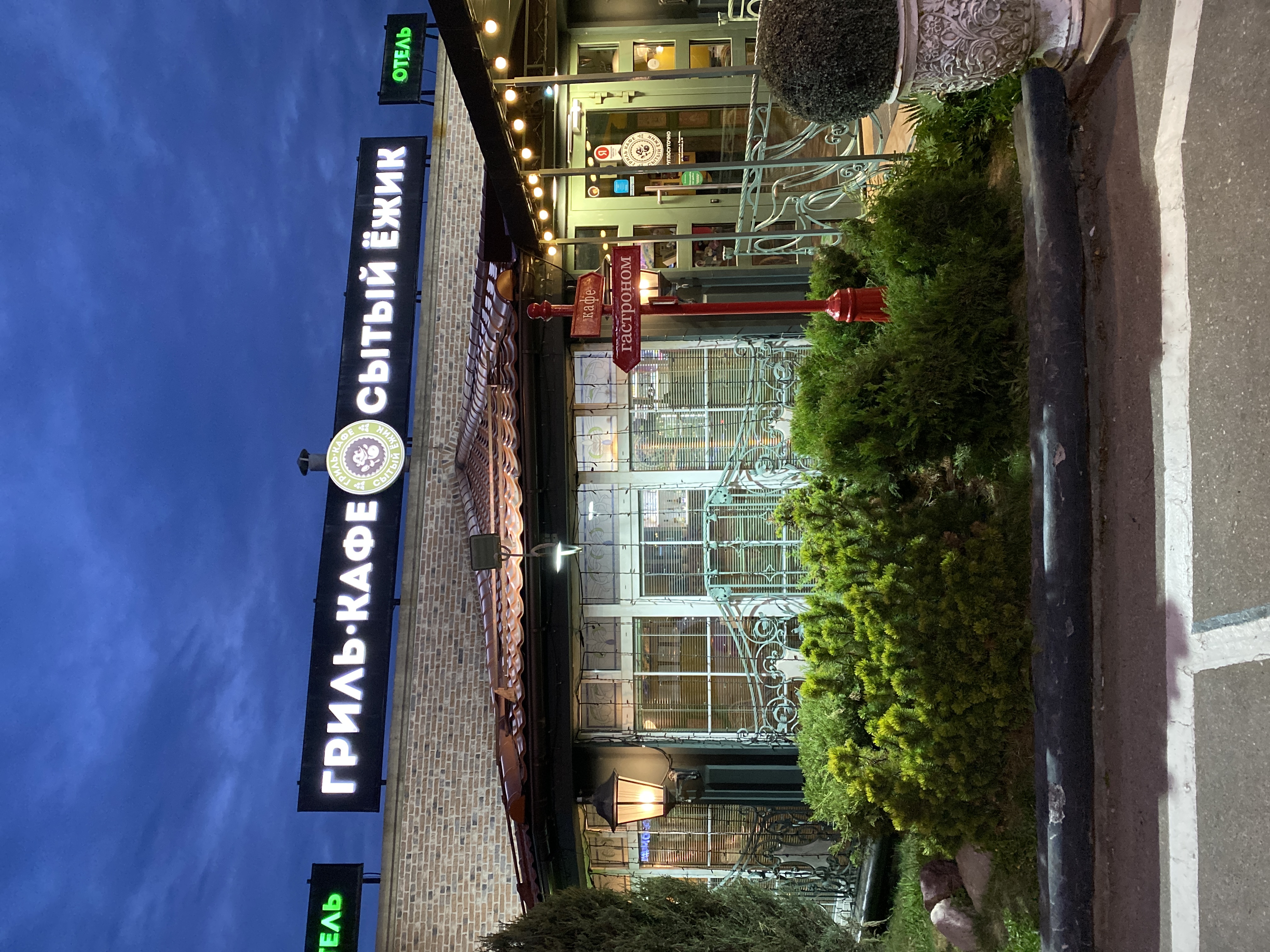 Фото Сытый Ежик