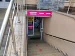 1000 мелочей (ulitsa Ostrovskogo, 21), household goods and chemicals shop