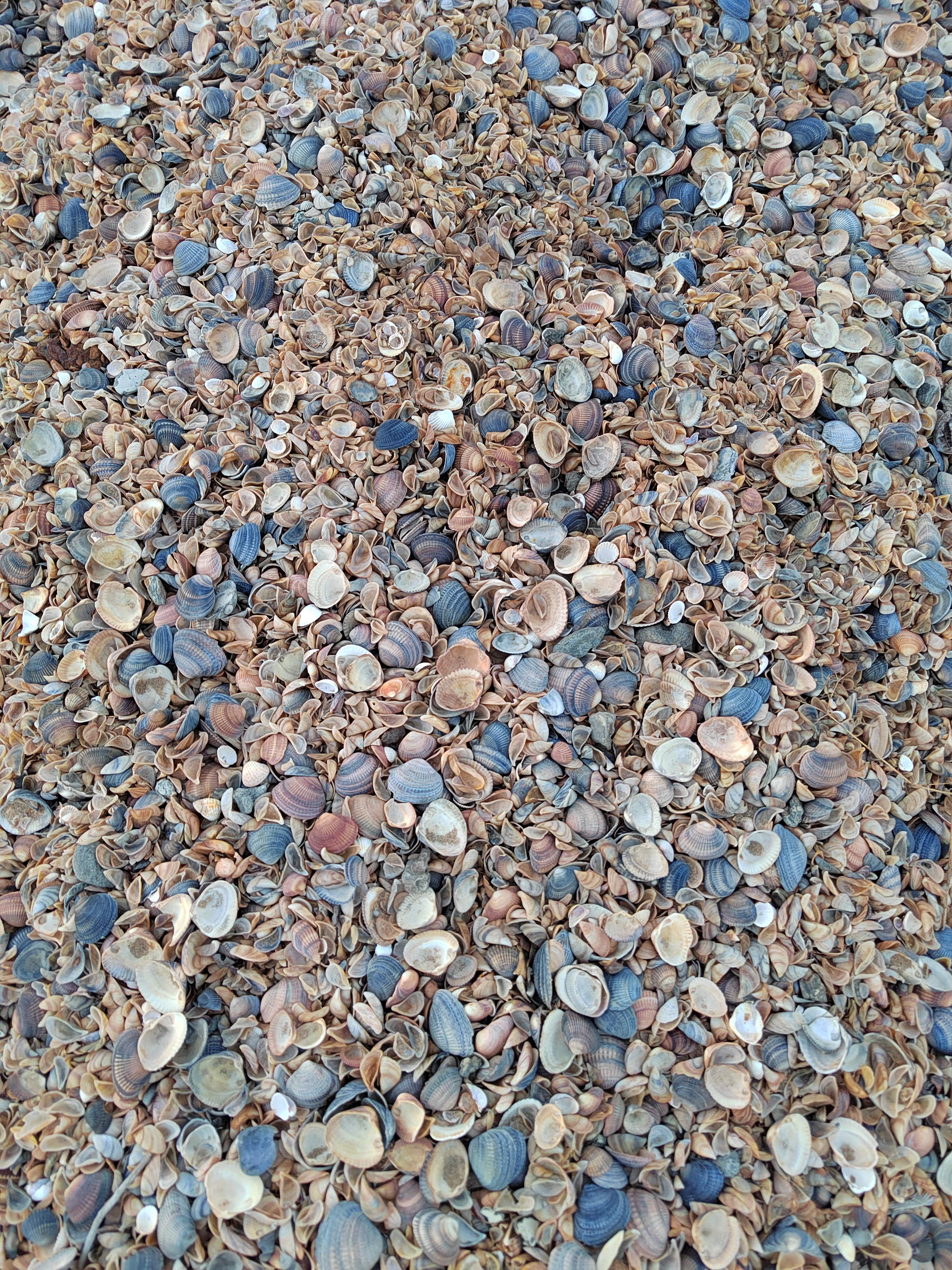 Фото Виктория