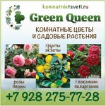 Green Queen (3-ya Tselinogradskaya ulitsa, 16), gardening shop