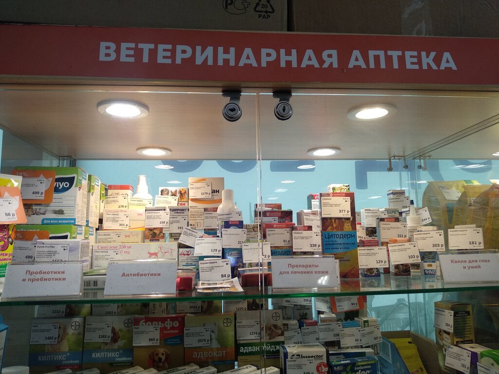 Pet shop Petshop.ru, Saint Petersburg, photo