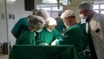 Dr. Armashov (Akademika Pavlova Street, 22), private experts
