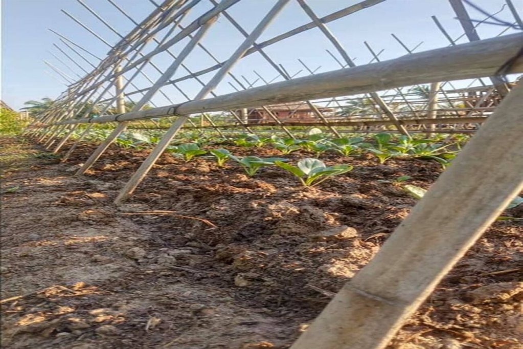 Фото Venice Krabi Villa Resort