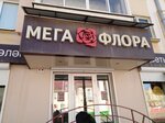 Мега флора (prospekt Lenina, 38), flower shop