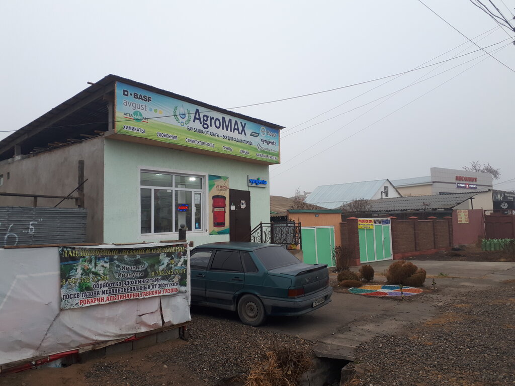 Абсолют Саракташ