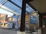 Новые окна (Bazarnaya ploshchad, 4), windows