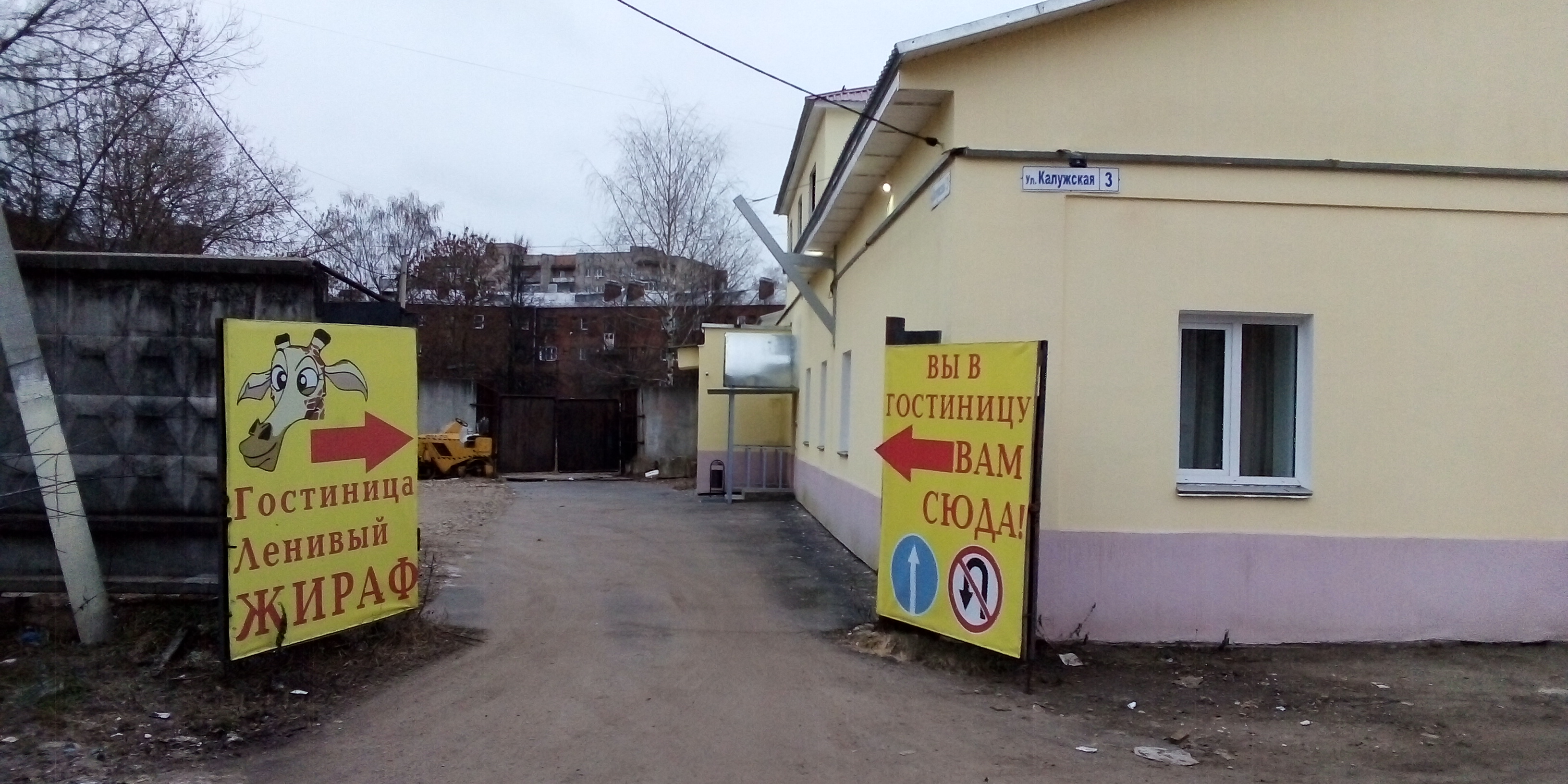 Фото Ленивый жираф