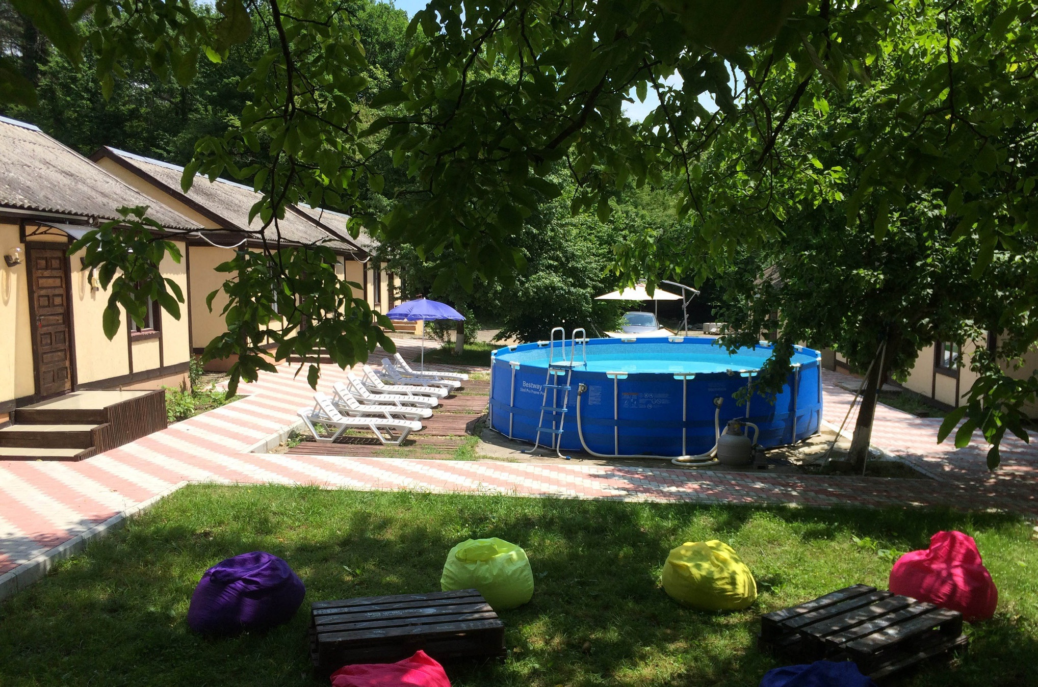 Фото Сосновый Бор