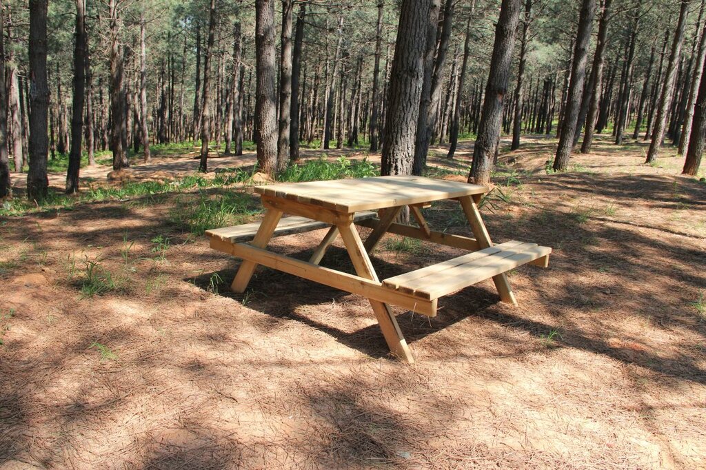 مكان للنزهات Cicekciler Family Picnic and Recreation Area ، اسطنبول، صورة