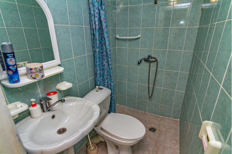 Фото Дельфин